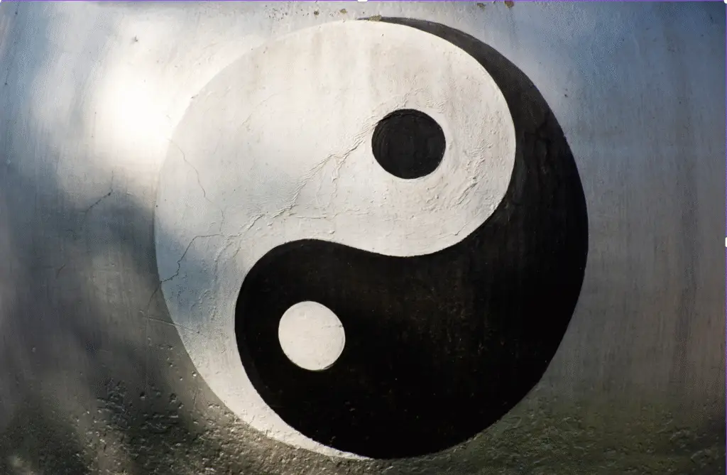 Betekenis Yin Yang in je werk en privéleven 1 yin yang banner 2